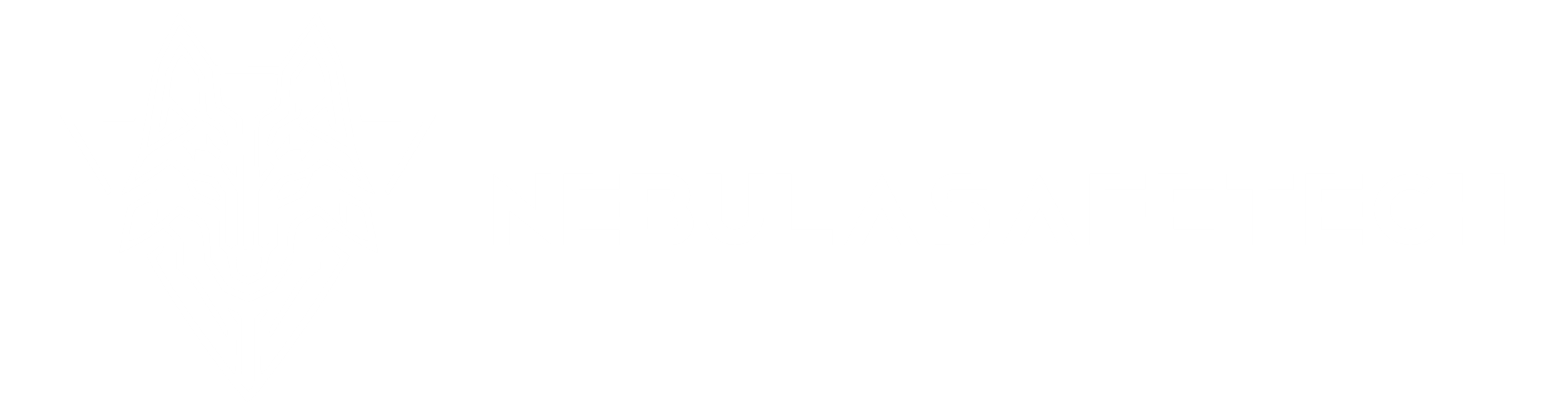 NebulaSafeTech Secondary Logo